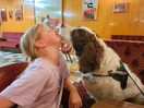 Granddaughter with the dog in the pub.