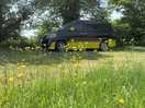 Campervan pitch immersed in nature