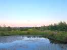 Beautiful sunset over the pond.