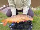 First fish