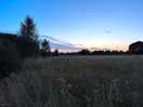 View from the meadow