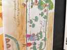 Lovely map of the fairy garden