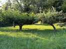 Brocklands farm
