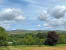 View from site