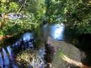 The river banwy in all its glory