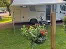Our pitch under a willow tree , the shade was welcome. hardstanding with a good area of grass