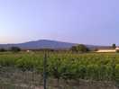 View from campsite