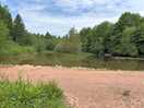 Ideal picnic spot
