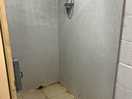 Toilet and shower area