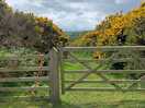 Coastal path