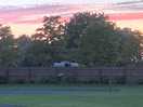 Loved watching the horses.