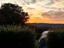 Sun set