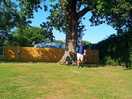 Grass pitched