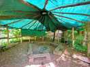 Sit around the firepit with your family/friends