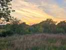 Beautiful skys