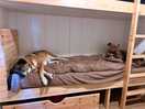 Bed time