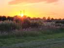 Beautiful sunset at peachey place