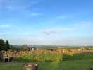 View from the yurt