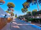 Pitches for caravans and motorhomes.