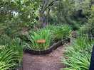 Play area/mini walk/mini forest