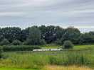 Lots of green space