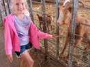 Maisy feeding the goats
