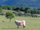 Our neighbours