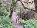 Bakers pit nature reserve