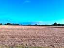 Field next to beech farm