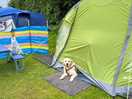 Tent life