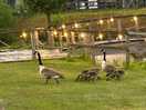 Lovely walk :)