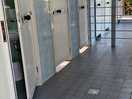 Wc und duschen auch sauber