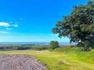 View from the site