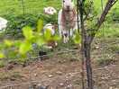 Friendly locals