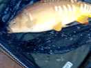 Great fishing