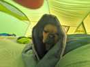 Early morning not wanting get out of bed