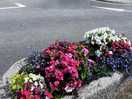 Flower bed