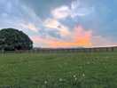 Friday sunset