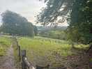 One of the many walks we went on