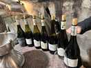 Vineyard visit and tasting