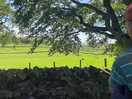 Beautiful walks