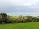 View from my pitch