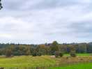View of site