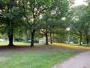 General view across the campsite