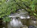 River by the campsite