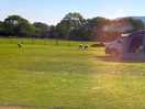 Farm