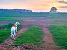 Loved the walks