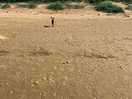The nearby beach