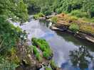 Cenarth falls
