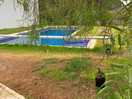 Jolie piscine, bien entretenue